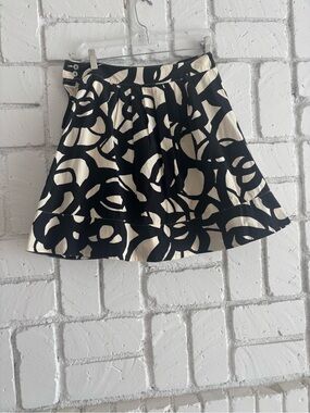 Black & Cream Abstract Print Skater Fei
 Skirt